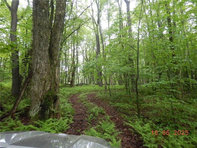 77 Warren, Meredith, NY 13753 - photo 8