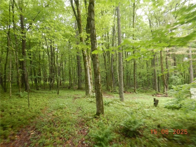 77 Warren, Meredith, NY 13753 - photo 9