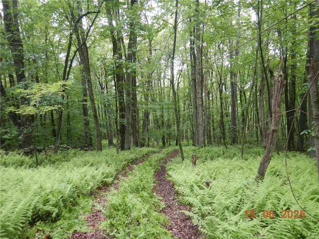 77 Warren, Meredith, NY 13753 - photo 11