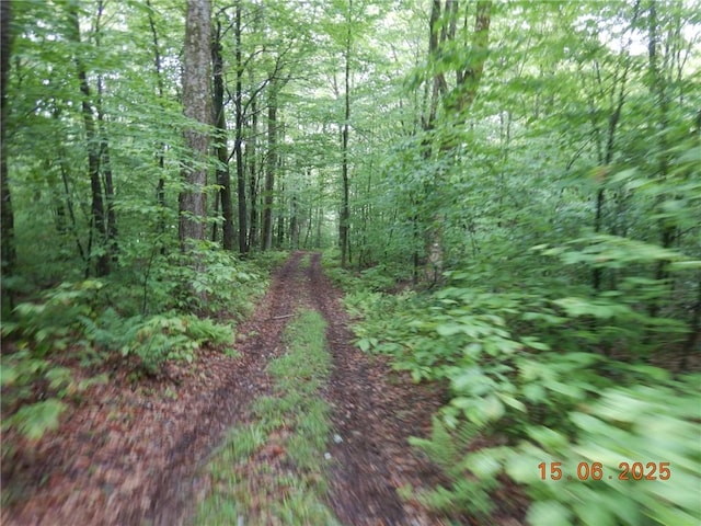 77 Warren, Meredith, NY 13753 - photo 12