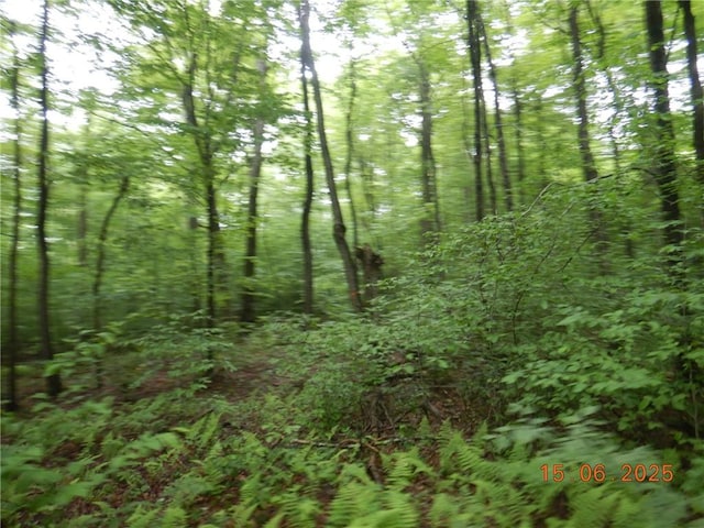 77 Warren, Meredith, NY 13753 - photo 13