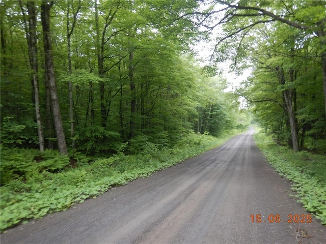 77 Warren, Meredith, NY 13753 - photo 16