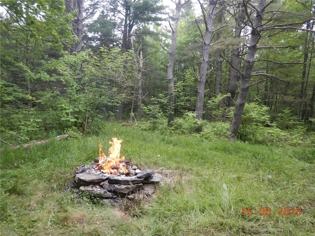 77 Warren, Meredith, NY 13753 - photo 17