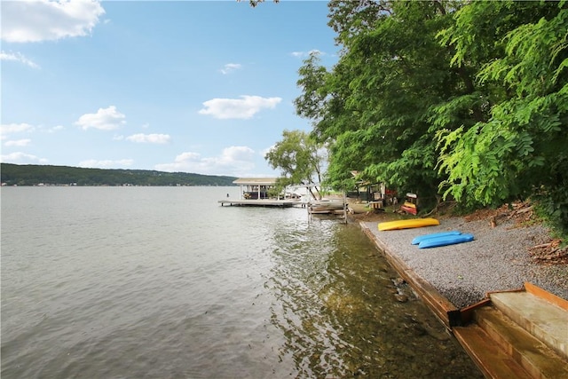 7240 W Bluff Dr, Jerusalem, NY 14478 - photo 26
