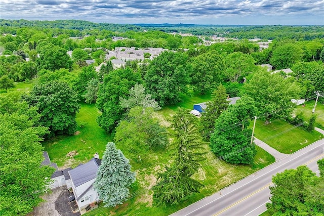 1895 Turk Hill Rd, Perinton, NY 14450 - photo 12