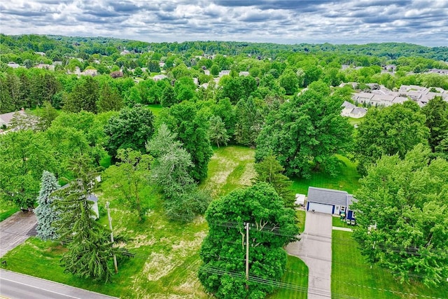 1895 Turk Hill Rd, Perinton, NY 14450 - photo 14