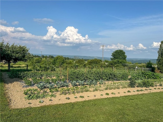 10477 County Road 23, Hume, NY 14735 - photo 10