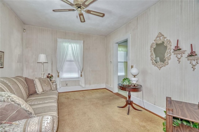 17 Peckham St, Rochester, NY 14621 - photo 34