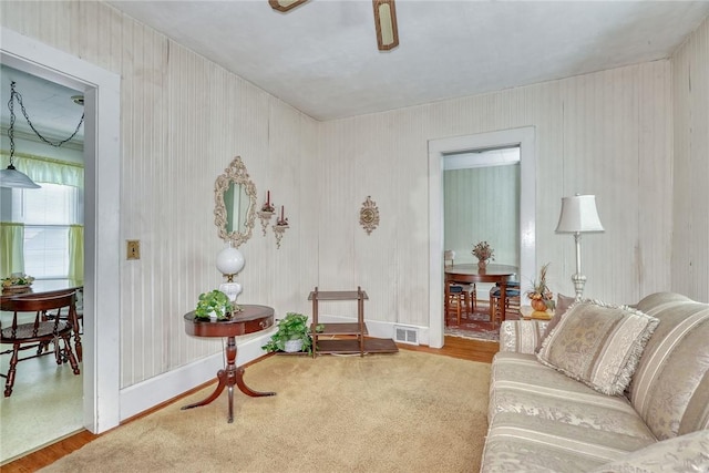 17 Peckham St, Rochester, NY 14621 - photo 35