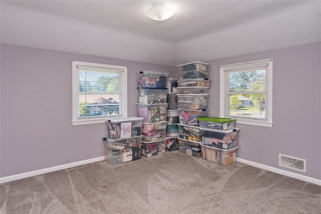 45 Seaford Dr, Irondequoit, NY 14617 - photo 36