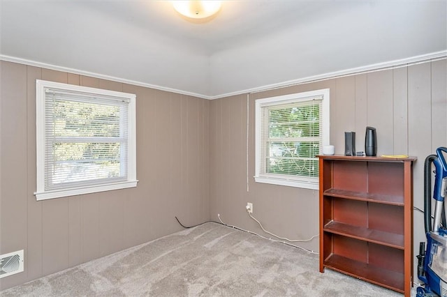 45 Seaford Dr, Irondequoit, NY 14617 - photo 38