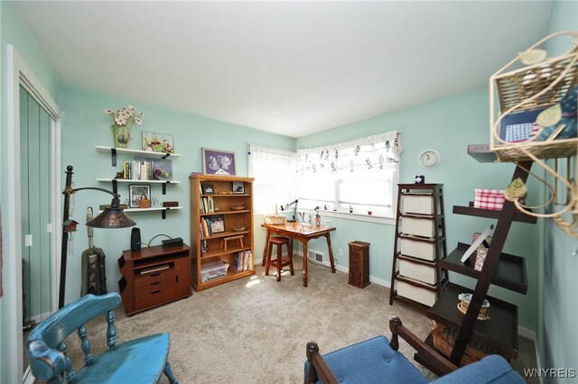 58 Parkside Ave, Hamburg, NY 14075 - photo 13