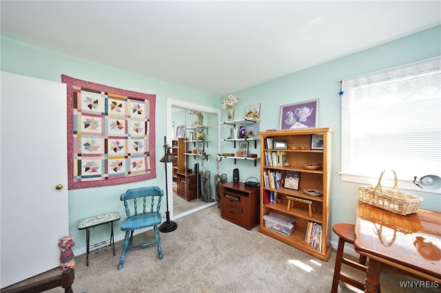 58 Parkside Ave, Hamburg, NY 14075 - photo 14