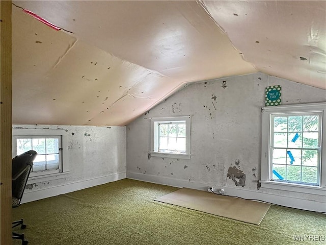 9 Park Rd W, Castile, NY 14427 - photo 29