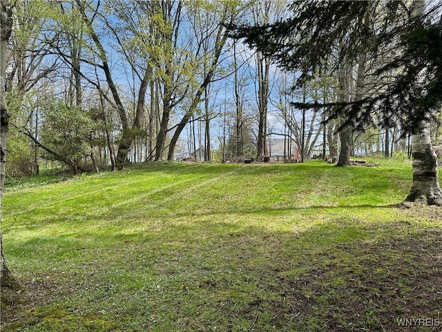 9 Park Rd W, Castile, NY 14427 - photo 7