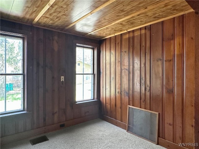 9 Park Rd W, Castile, NY 14427 - photo 16