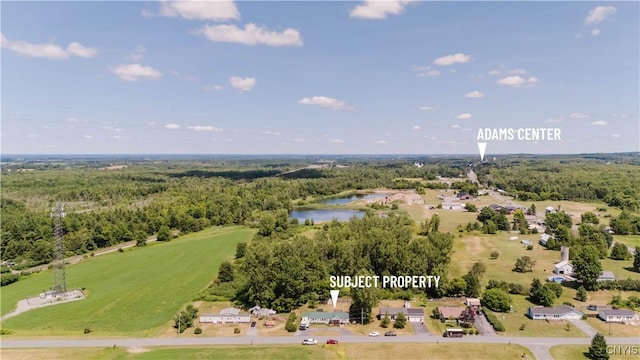 17739 Michael Rd, Adams, NY 13606 - photo 29