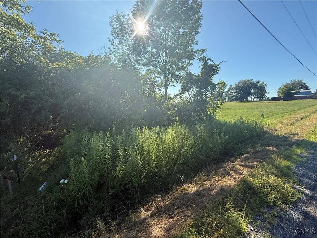 Hogan Rd, Vernon, NY 13476 - photo 3
