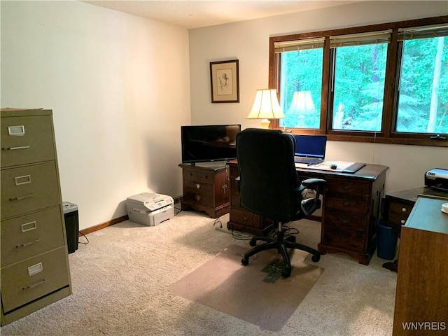 144 Breezewood Cmn, Amherst, NY 14051 - photo 25