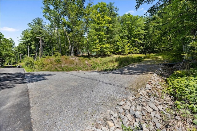 3554 W Bluff Dr, Jerusalem, NY 14478 - photo 2