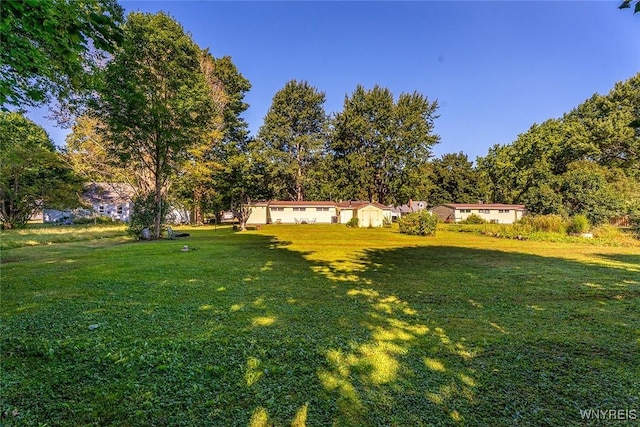 1013 Clearvue Dr, Alden, NY 14004 - photo 22