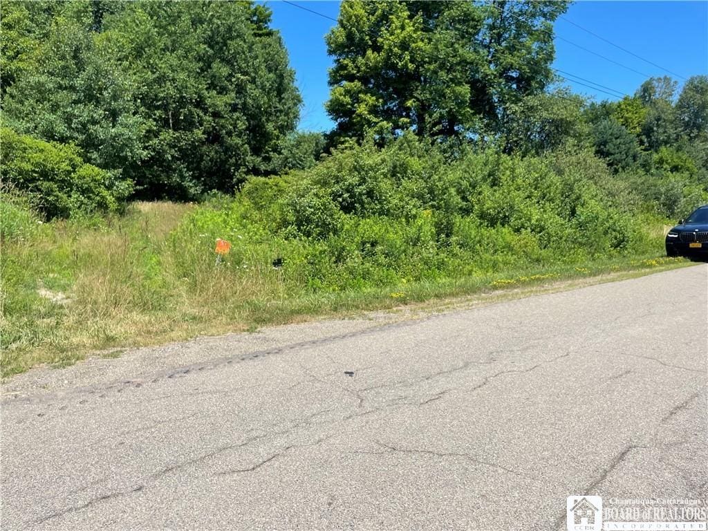Mead Rd, Busti, NY 14701 - photo 1