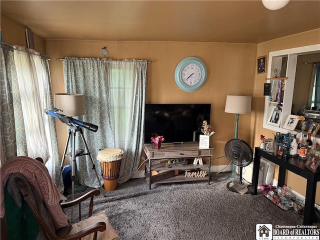 23 Gerald Ave, Busti, NY 14750 - photo 6