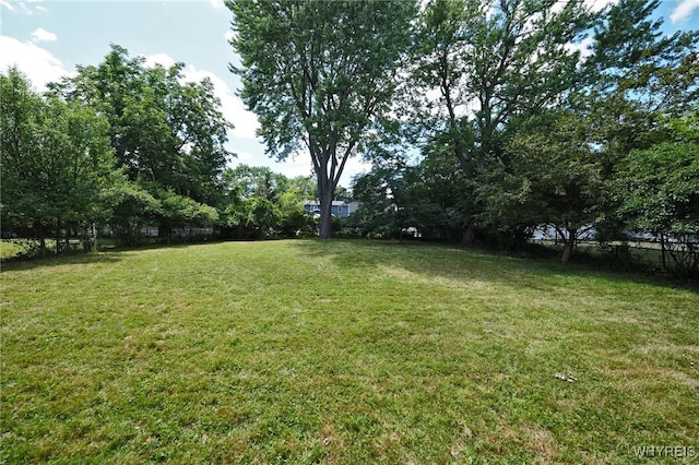 236 N Harvest St, Amherst, NY 14221 - photo 29