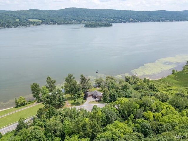 8106 State Highway 28, Richfield, NY 13439 - photo 6