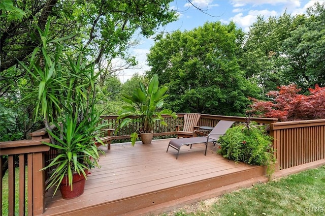 132 Huntshill Rd, Geddes, NY 13209 - photo 50