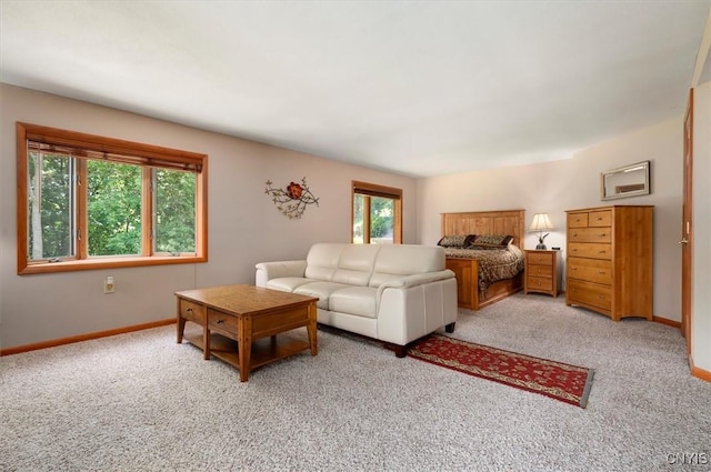 132 Huntshill Rd, Geddes, NY 13209 - photo 41