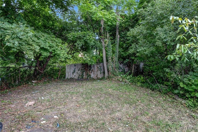 62 Winslow Ave, Buffalo, NY 14208 - photo 43