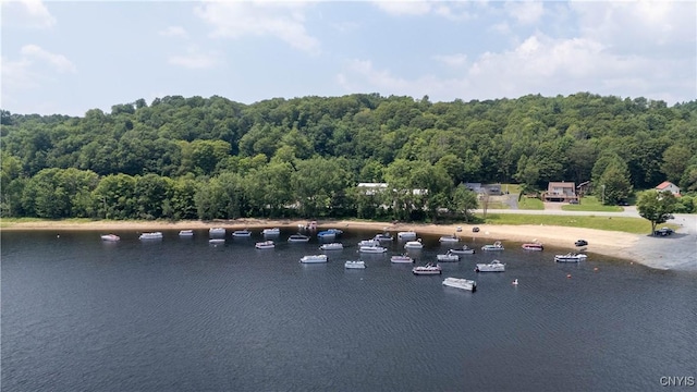 10424 Riggerman Rd, Russia, NY 13438 - photo 7