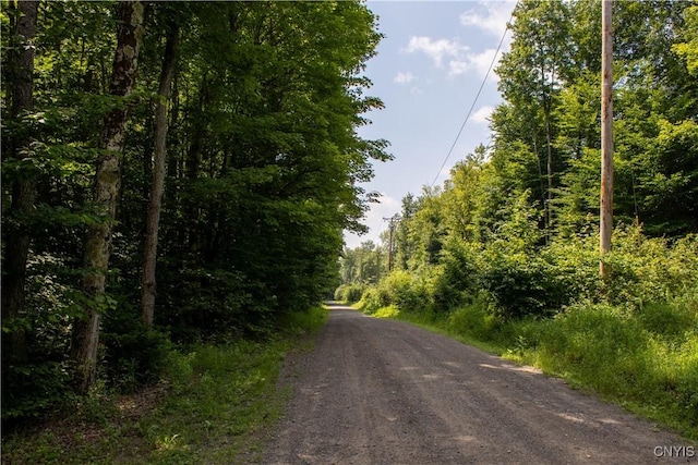 10424 Riggerman Rd, Russia, NY 13438 - photo 28