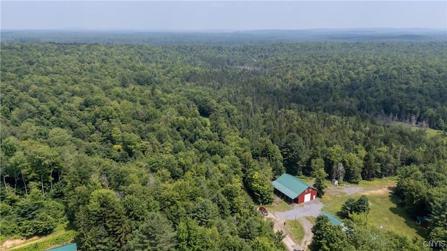 10424 Riggerman Rd, Russia, NY 13438 - photo 3
