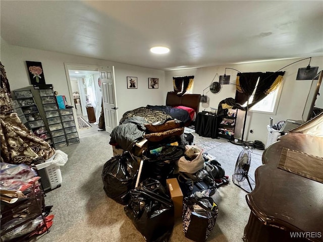 67 W Delavan Ave Unit S, Buffalo, NY 14213 - photo 40