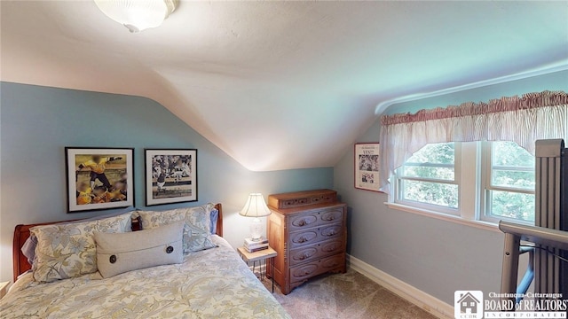 104 W Summit St, Busti, NY 14750 - photo 34