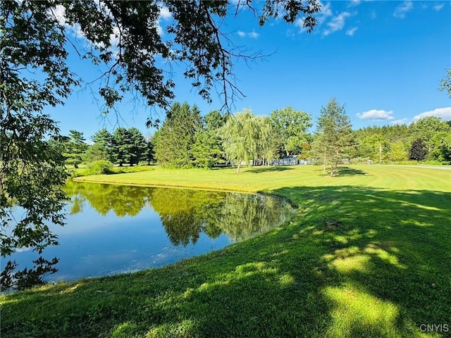87 Armstrong Rd, Lansing, NY 14882 - photo 45