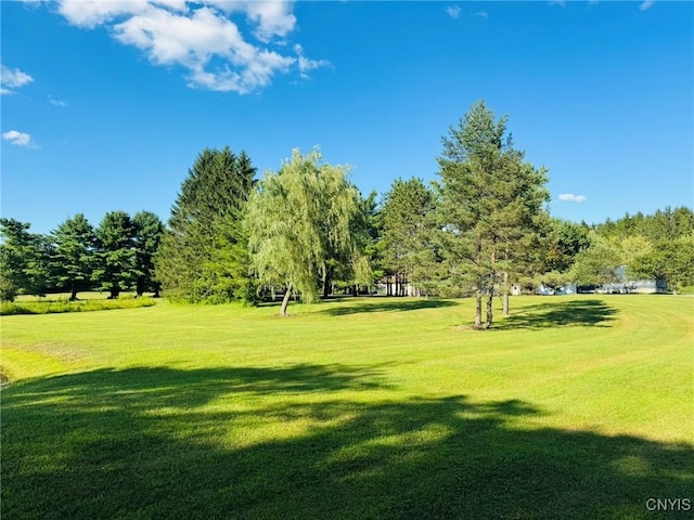 87 Armstrong Rd, Lansing, NY 14882 - photo 46