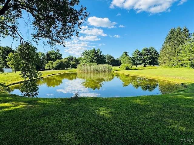 87 Armstrong Rd, Lansing, NY 14882 - photo 44