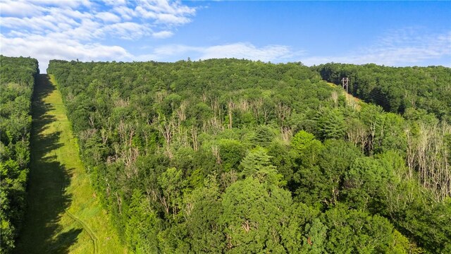 Davis Rd, Corning, NY 14830 - photo 10