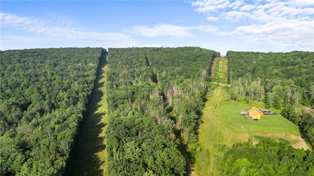 Davis Rd, Corning, NY 14830 - photo 11