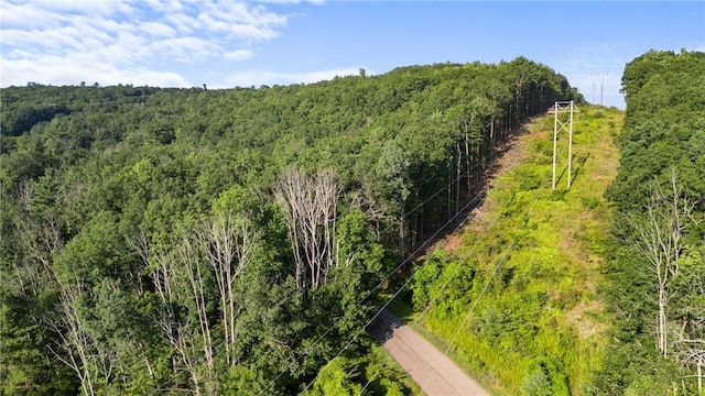 Davis Rd, Corning, NY 14830 - photo 12