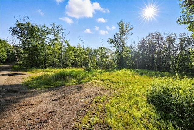 Davis Rd, Corning, NY 14830 - photo 2