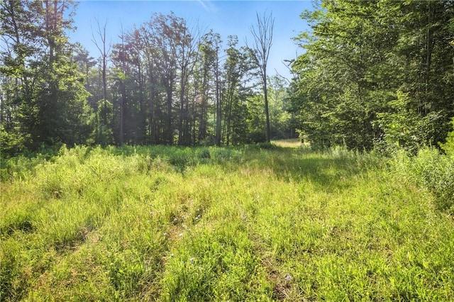 Davis Rd, Corning, NY 14830 - photo 14