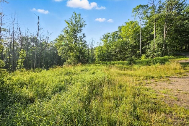 Davis Rd, Corning, NY 14830 - photo 15