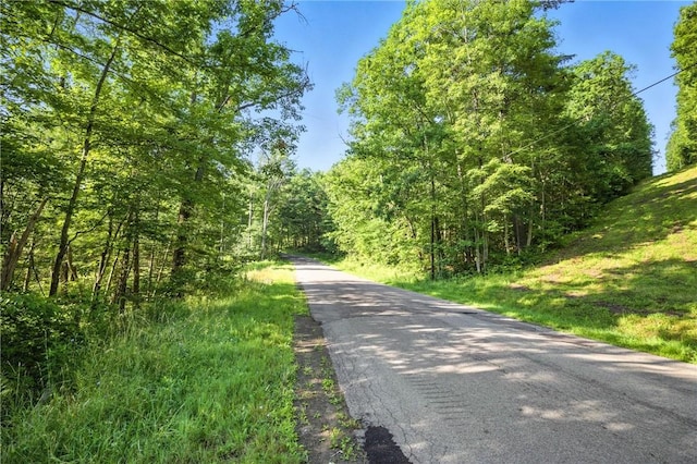 Davis Rd, Corning, NY 14830 - photo 3
