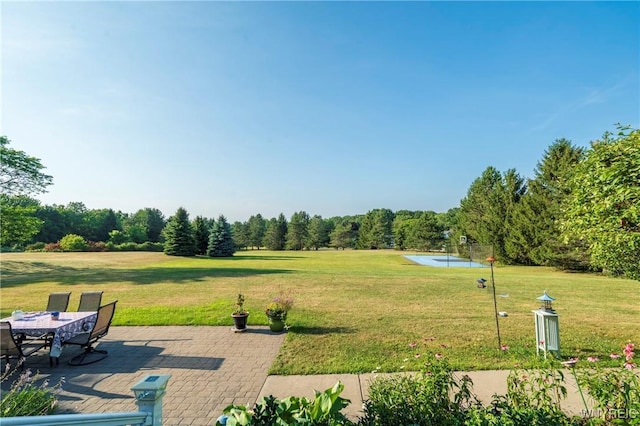 2916 Wolf Dr, Eden, NY 14057 - photo 46