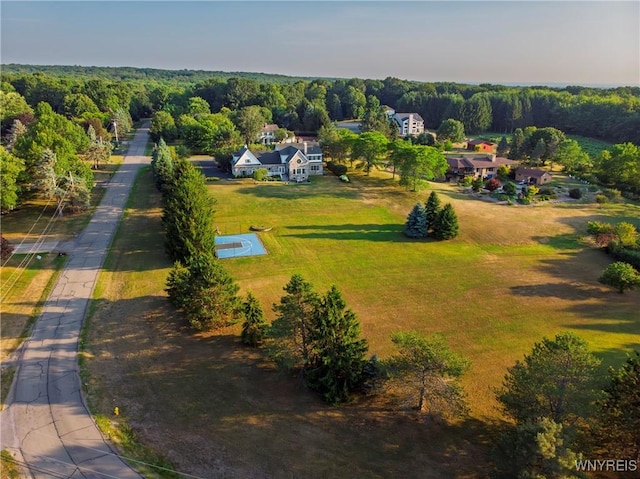2916 Wolf Dr, Eden, NY 14057 - photo 49