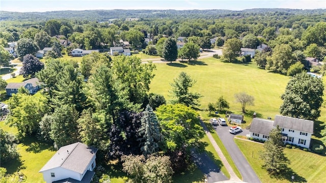 6 Silver Birch Cir, Perinton, NY 14450 - photo 48